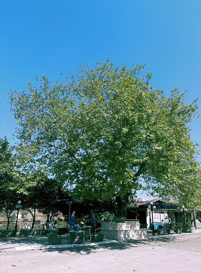 Αίθρα Δολιανά