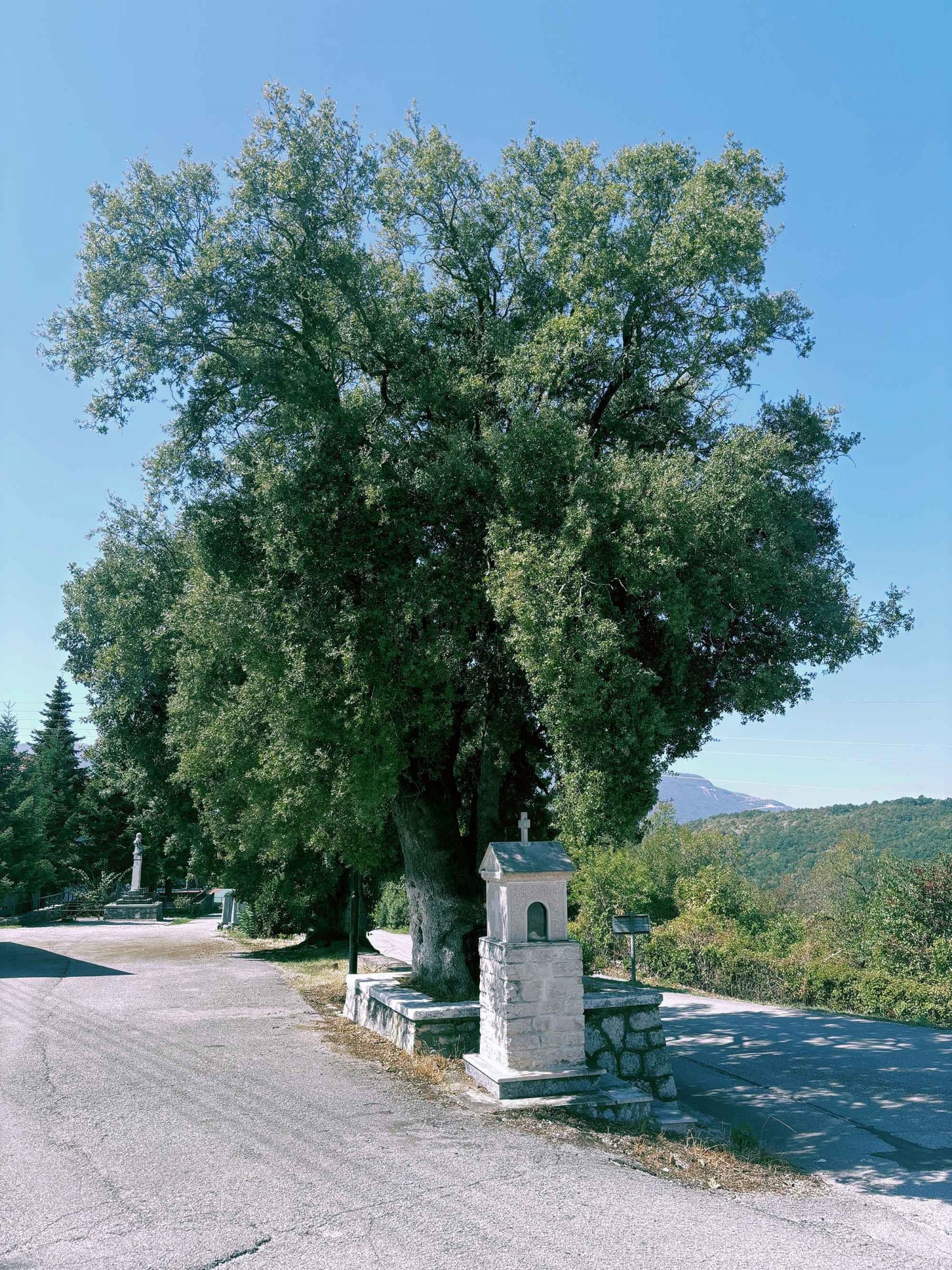 Δολιανά