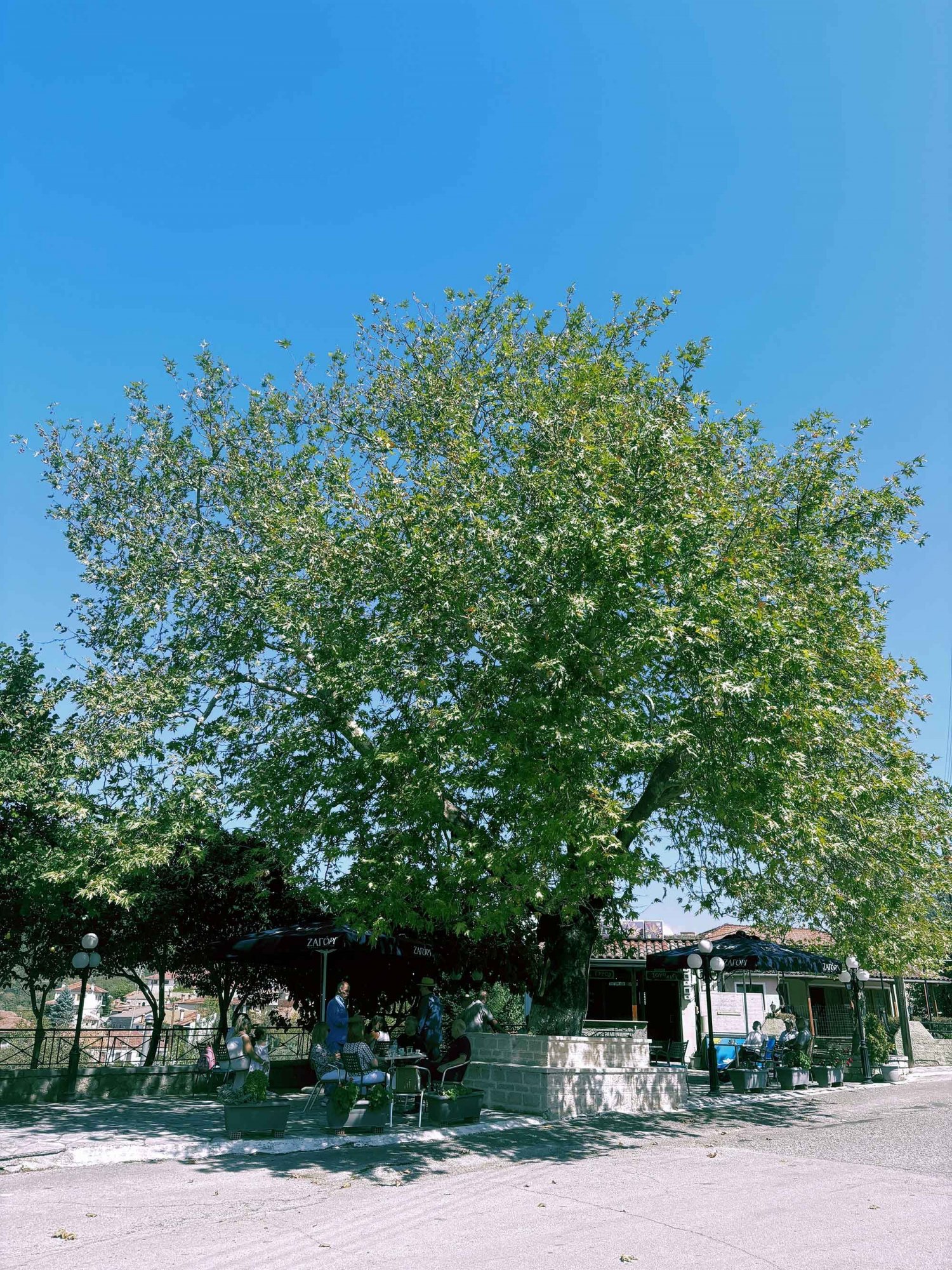 Δολιανά