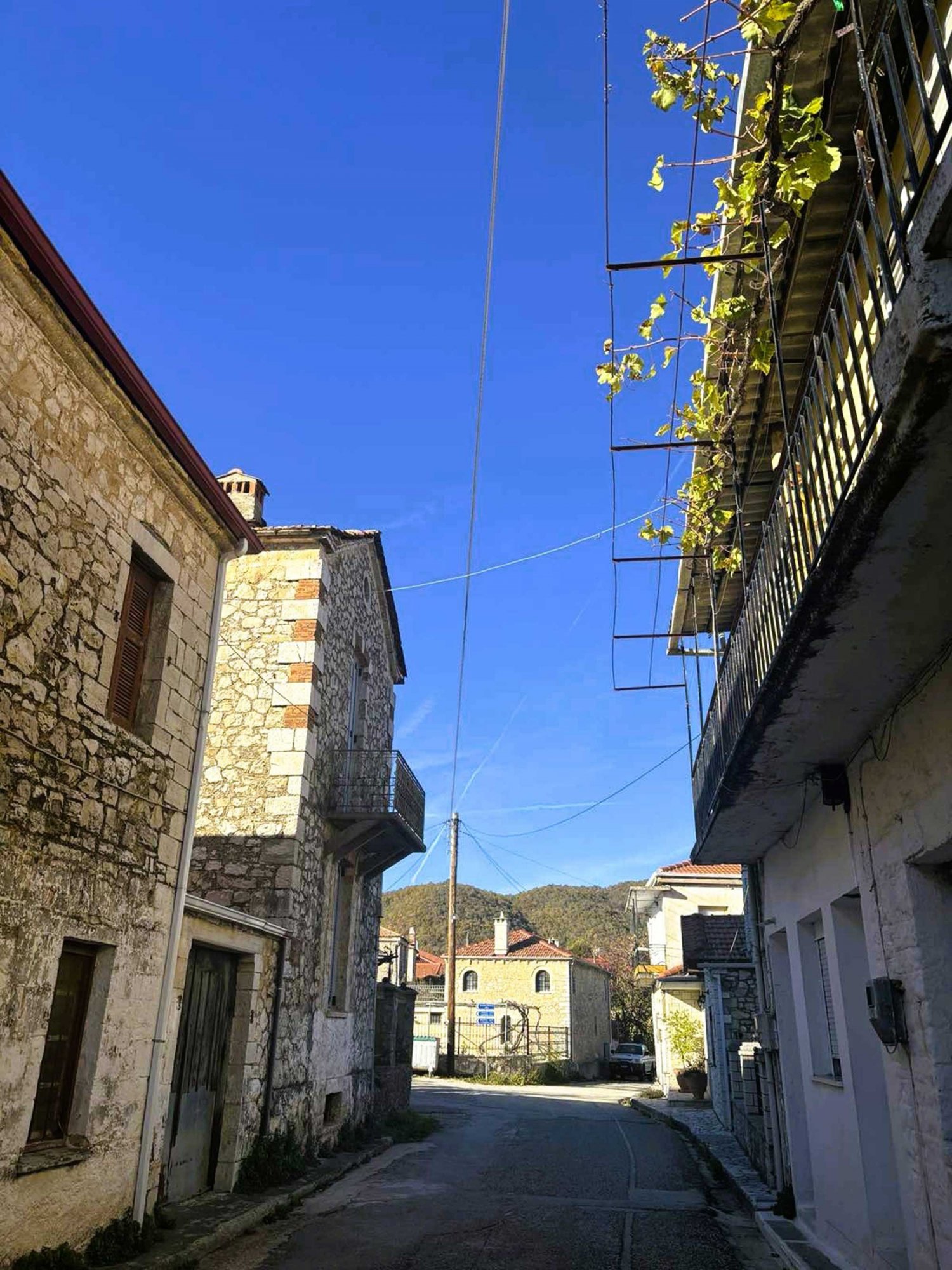 Δολιανά